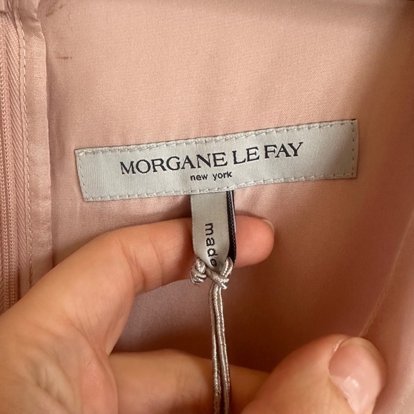 NWT Morgane Le Fay Silk Rosemary Gown in Pink - Picture 4 of 8